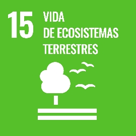 15 ODS Vida de ecosistemas terrestres